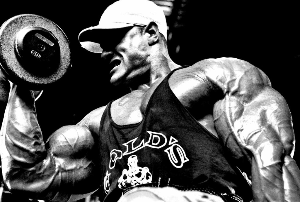 6d5ada3d012cae85ea5544e91873cbba